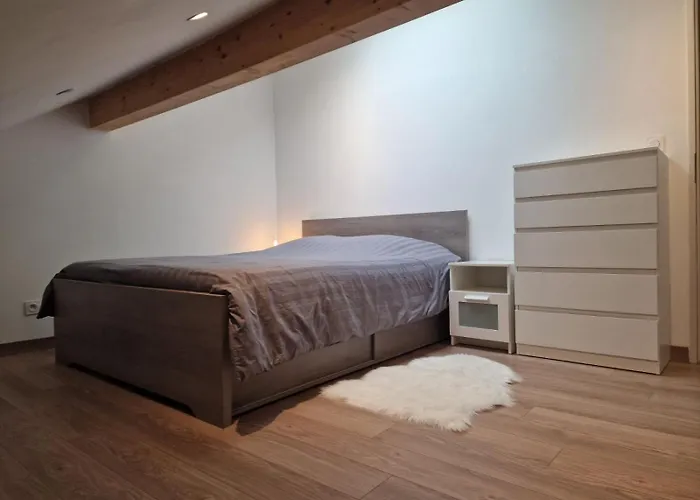 Appartement Rez De Jardin