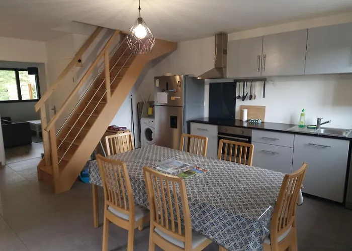 Appartement Rez De Jardin